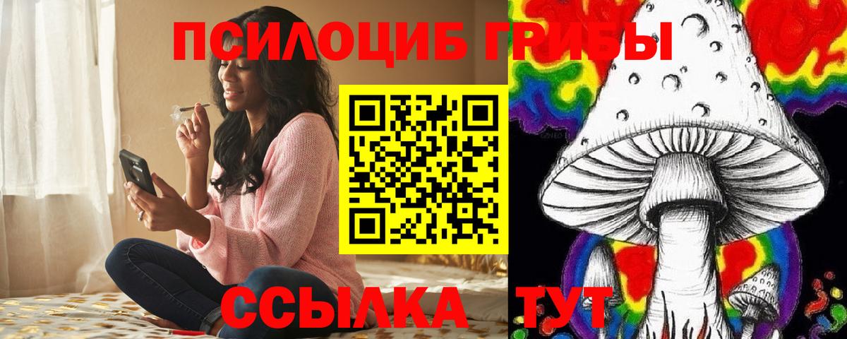 Асино  Псилоцибиновые грибы MAGIC MUSHROOMS  купить наркотики цена  Вход с VPN 