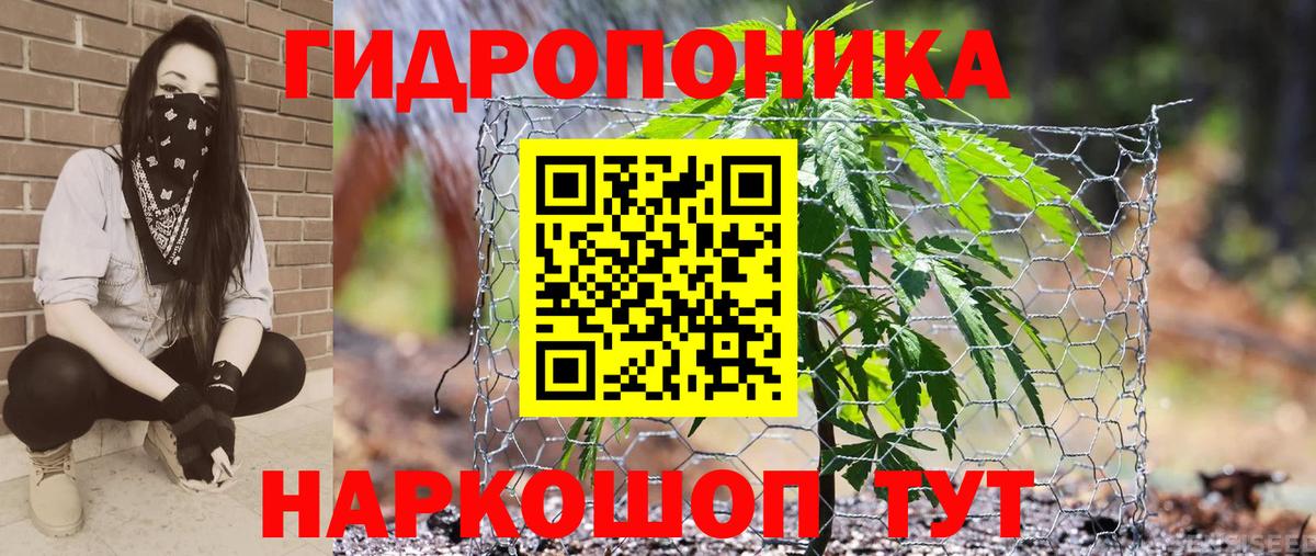Конопля VHQ  Вход с VPN  Бошки Шишки White Widow  Асино 